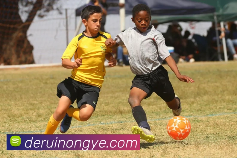 彩神vll发展历程